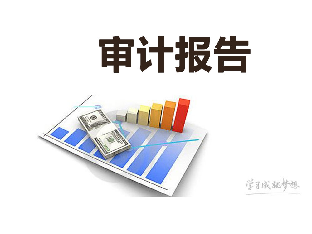 审计报告